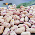 AGOLYN High Protein Light Speckled Flower Kidney Beans